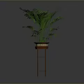Lush Green Indoor Plant in Brown Planter on Red Stand with Grey Background