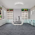 Contemporary Office Interior With White Desk Chair Monitor Wall Posters Windows Ceiling Light Gray Carpet