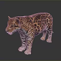 Detailed 3D Render Leopard With Spotted Fur Standing On Gray Background