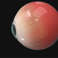 Human Eyeball Featuring Blue Pupil Iris and White Sclera on Black Background