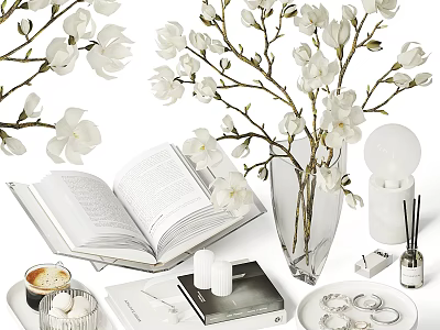 Elegant Minimalist Decorative Accessories Set With Glass Vase Magnolia Branches Open Book Candles And Diffuser 3d model