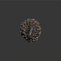 Natural Plant With Rough Brown Black Texture And Irregular Organic Unique Shape 3d model