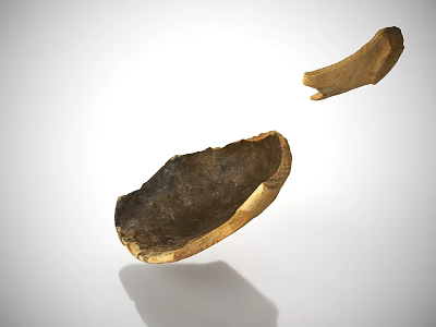 Two Suspended Brown Gold Shell Like Objects On White Background With Shadows 3d model