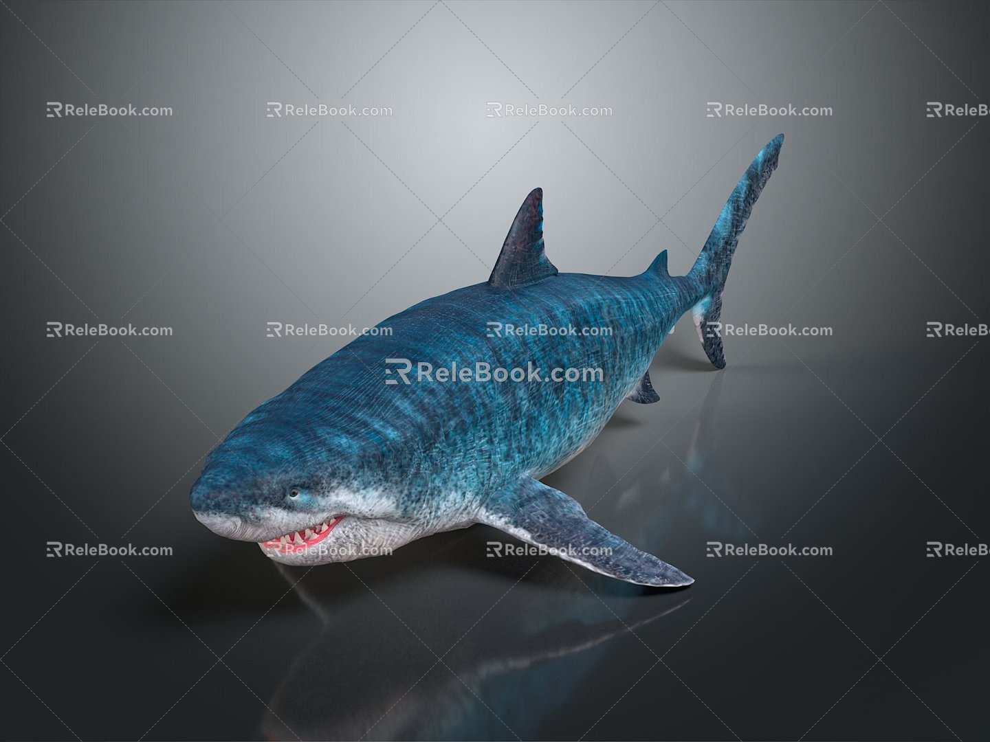 shark great white shark whale shark hammerhead shark tiger head shark man-eating shark blue shark coral red coral white coral 3d model