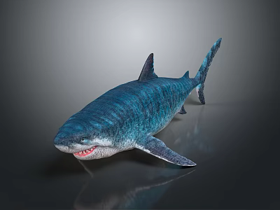 Realistic Striped Blue Shark 3D Model as Aquatic Animal with Sharp Teeth and Detailed Appearance 3d model