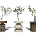 Diverse Design Round Side Tables With Wooden Marble Metal Bases And Green Plants In Vases