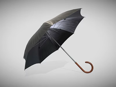 Stylish Black Umbrella With Wooden Curved Handle For Daily Use 3d model