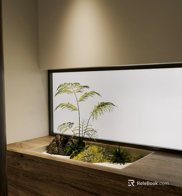 Miniature Indoor Garden Display In Wooden Container With Moss Ferns And Frosted Glass Wall 3d model 