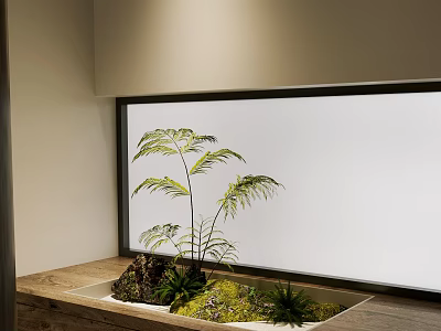 Miniature Indoor Garden Display In Wooden Container With Moss Ferns And Frosted Glass Wall 3d model