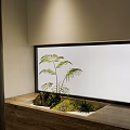 Miniature Indoor Garden Display In Wooden Container With Moss Ferns And Frosted Glass Wall