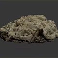 Coral Polyps Marine Life Formation With Intricate Texture In Ocean Environment