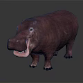 Realistic Hippo Standing With Open Mouth And Brown Skin On Dark Background