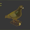 Taxidermy Pigeon Gray Feathers With Green Iridescent Neck Standing On Black Base With Gold Tag