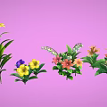 Colorful Flowering Plants With Green Leaves In Various Colors On Pink Background