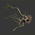 Natural Looking Decorative Dry Tree Branch With Multiple Twigs And Base