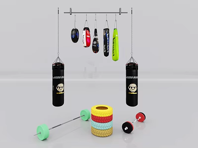Sports Training Equipment With Hanging Punching Bags Barbell And Colorful Fitness Rings 3d model
