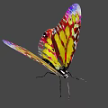 Vibrant Colorful Butterfly Artwork With Geometric Patterns And Bright Hues