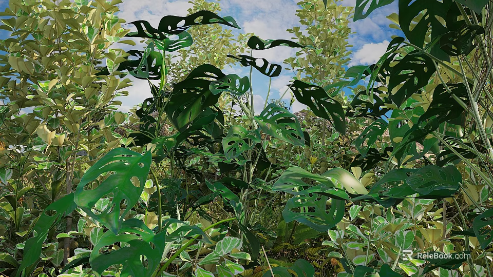 Lush Monstera Leaves And Various Green Plants In Natural Outdoor Environment With Blue Sky 3d model 