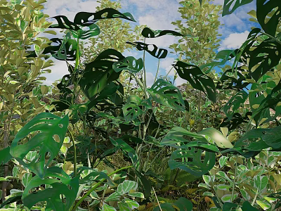 Lush Monstera Leaves And Various Green Plants In Natural Outdoor Environment With Blue Sky 3d model