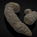 Earthworms With Segmented Bodies In Natural Curved Form On Dark Surface 3d model