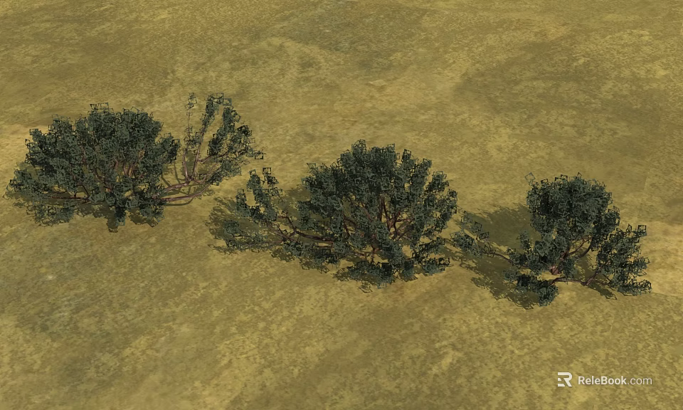 Green Desert Shrubs With Dense Foliage Growing In Arid Dry Terrain 3d model 