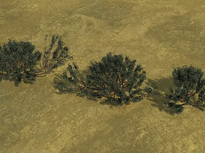 Green Desert Shrubs With Dense Foliage Growing In Arid Dry Terrain 3d model