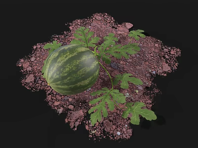 Fresh Ripe Watermelon With Green Leaves On Brown Soil 3d model