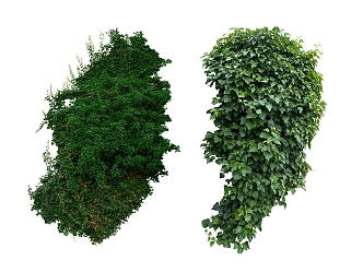 green plant vine 3d model