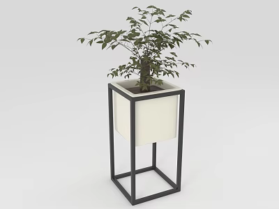 Green Leafy Plant In Square Planter With Black Metal Frame And White Container 3d model