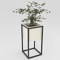 Green Leafy Plant In Square Planter With Black Metal Frame And White Container