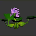 Vibrant Plant With Green Leaves And Purple Flowers On Dark Background With Reflection