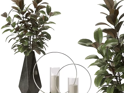 Decorative Ornament Set With Green Foliage Black Vase Metal Hoops And Glass Candle Holders 3d model