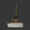 Tranquil Bamboo Landscape Featuring Green Moss On Square Stone Base With Woven Mat 3d model