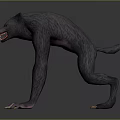 Crouching Werewolf Creature With Gray Fur Open Mouth Red Teeth Sharp Claws 3d model