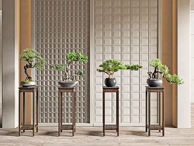 Traditional Bonsai Plants On Wooden Pedestals Against Lattice Wall Background 3d model