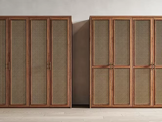 Silent Wind Wardrobe Rattan Wardrobe Silent Wind Rattan Wardrobe Finished Wardrobe Antique Wardrobe Rattan Cabinet Door 3d model