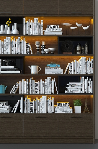 Modern bookcase 3d model