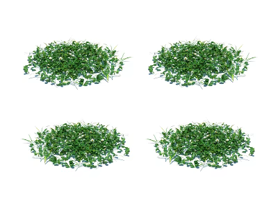 Four Fresh Dense Green Plant Clusters with Lush Foliage on White Background 3d model