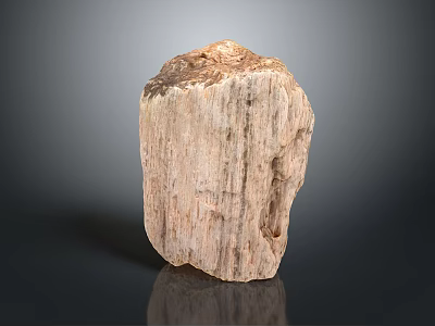 Natural Wood Stone With Rough Surface And Organic Shape And Intricate Texture 3d model