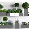 Modern Planter Display With Topiary Trees Purple Flowers Green Herbs And Succulents