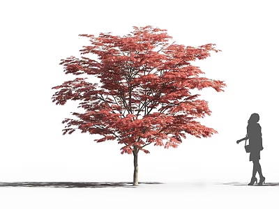Lush Arbor With Vibrant Red Leaves And Woman Silhouette Standing Nearby 3d model