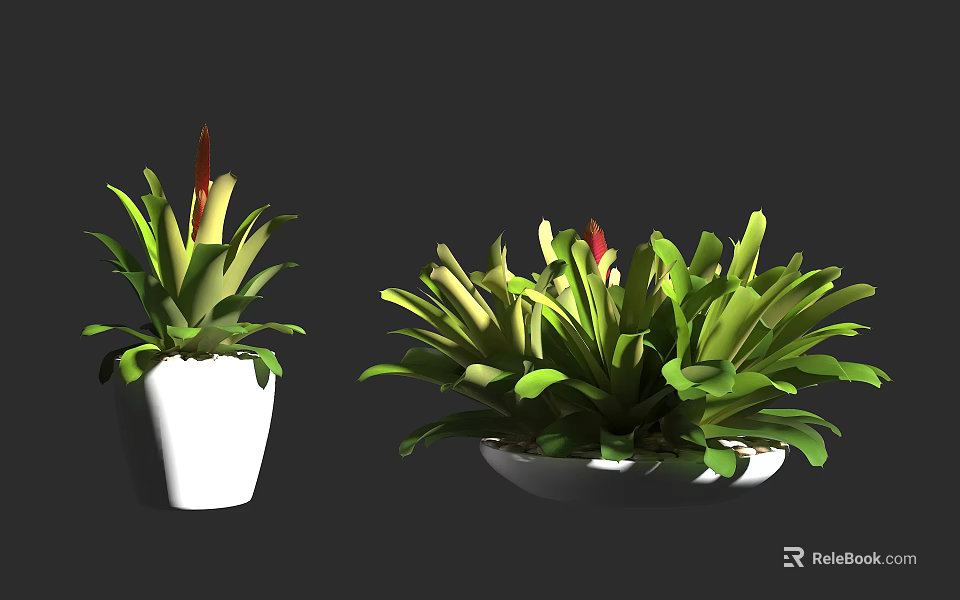 Potted Bonsai Plants with Green Leaves and Red Accents in White Square and Round Planters 3d model 