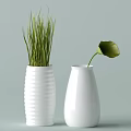 Minimalist White Ribbed And Smooth Vases With Green Grass Like Plants And Single Leaf