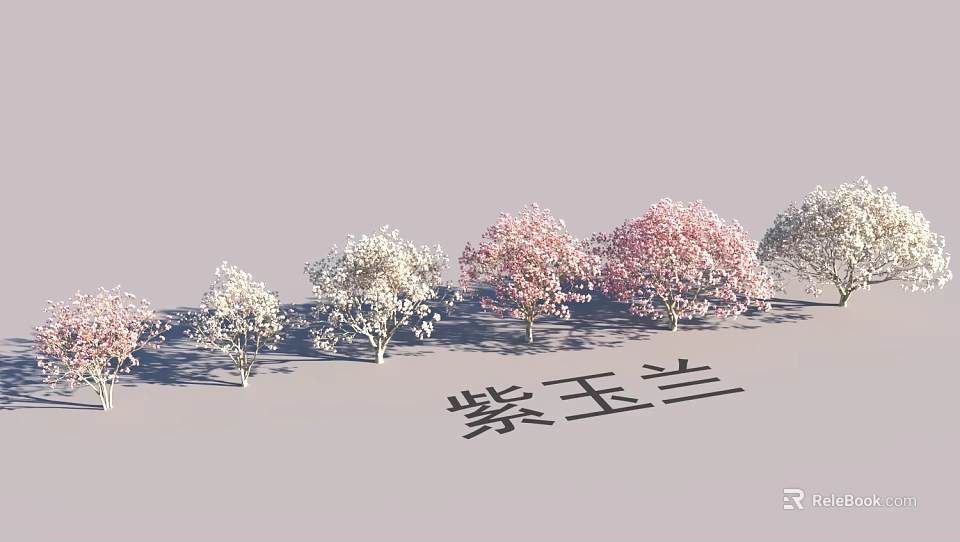 Scenic Garden Landscape With Blooming Purple Magnolia Trees and Serene Design 3d model 