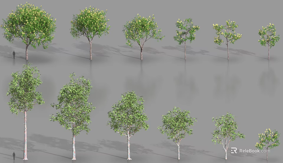 Arbor Tree 3D Models With Various Sizes And Green Foliage 3d model