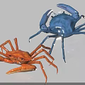Vibrant Blue and Orange Aquatic Crabs Featuring Detailed Legs Claws and Body Structure