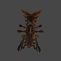 Fantasy 3D Game Movie Character With Crab Like Claws Spiked Back And Orange Black Patterns