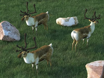 Three Reptilian Lizards Moving On Green Grassland With Stones Around Them 3d model Three Reptilian Lizards Moving On Green Grassland With Stones Around Them 3d model