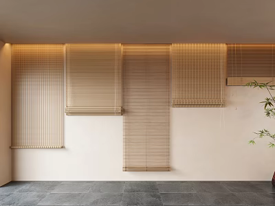 Various Natural Material Blinds Interior Design With Beige Wall Gray Stone Floor And Green Plant 3d model