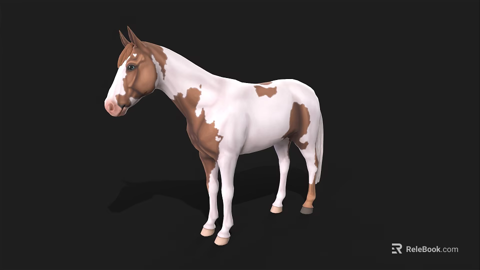 Brown And White Spotted Horse 3D Model Standing On Black Background 3d model